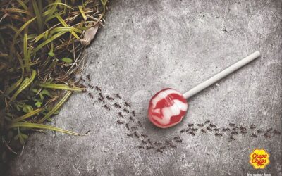 Inspire-se com as 42 melhores propagandas criativas já lançadas no mercado