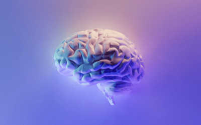 Conheça as 10 regras do Branding Sensorial