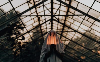 Instagram: como usar nova função para remover seguidores fantasmas