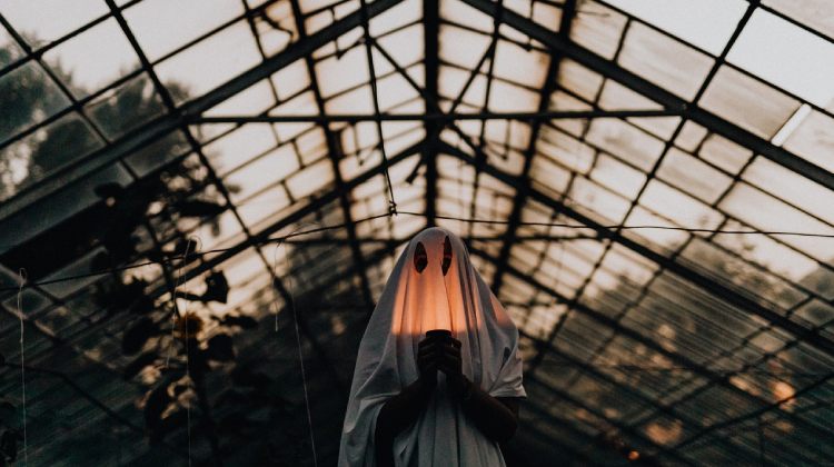 Instagram: como usar nova função para remover seguidores fantasmas